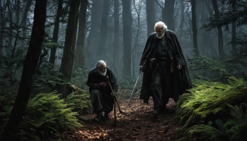 swath,witcher,wizards,elven forest,walkers,guards of the canyon,druids,the woods,monks,hobbit,the stake,forest walk,fantasy picture,mother and father,hikers,the forest,heroic fantasy,tall tales,elves,pilgrimage,Conceptual Art,Fantasy,Fantasy 13