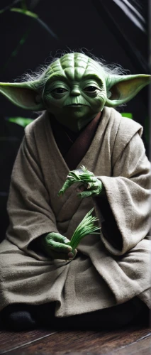 yoda,jedi,tea zen,gyokuro,mundi,ganghwado,sōjutsu,zen master,sōmen,zen,monk,iaijutsu,force,goki,kung fu,yogi,jujutsu,sensei,nori,aaa,Photography,Artistic Photography,Artistic Photography 12