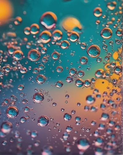 droplets of water,rain droplets,water droplets,dew droplets,droplets,waterdrops,dew drops,water drops,dewdrops,rainwater drops,drops of water,drops on the glass,air bubbles,frozen dew drops,rain drops,small bubbles,raindrops,liquid bubble,condensation,drops,Conceptual Art,Daily,Daily 03