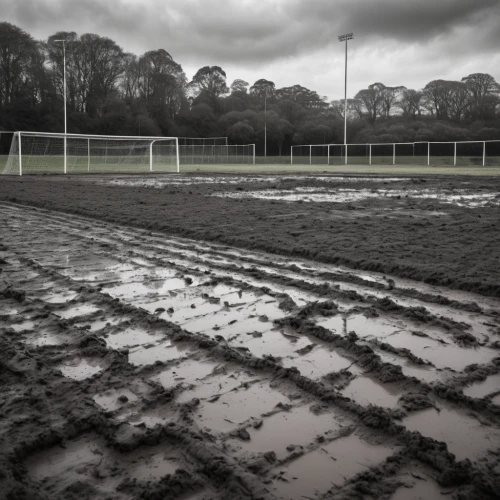 football pitch,the ground,furrows,soccer field,floodlights,old field clover,playing field,sowing,ground,floodlight,rain field,athletic field,football field,gable field,track,sports ground,plough,furrow,cowshed,tartan track,Photography,General,Natural