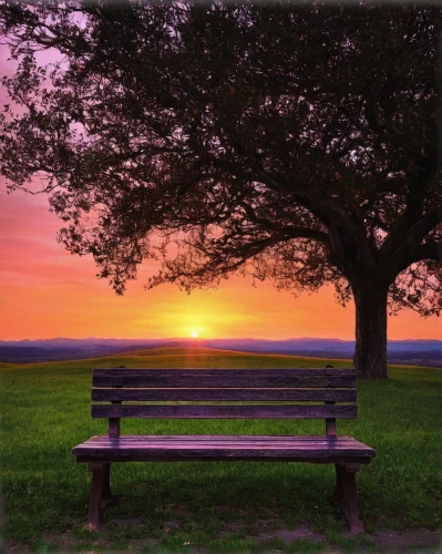 bench,park bench,wooden bench,red bench,outdoor bench,benches,garden bench,man on a bench,stone bench,wood bench,bench by the sea,bench chair,picnic table,landscape background,resting place,chair in field,sit and wait,hunting seat,yellow rose on red bench,lone tree,Illustration,Abstract Fantasy,Abstract Fantasy 02