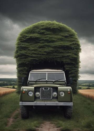 camper van isolated,planted car,snatch land rover,chrysler sunbeam,volvo 164,land-rover,rolls-royce silver wraith,land rover,rolls-royce phantom vi,first generation range rover,station wagon-station wagon,christmas car with tree,land rover series,mercedes benz w123,bales of hay,renault 4,rolls-royce phantom v,retro chevrolet with christmas tree,3d car wallpaper,oldtimer car,Illustration,Realistic Fantasy,Realistic Fantasy 17
