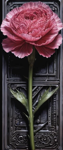 peony frame,carnation stone,pink carnation,crown carnation,carnation flower,flower painting,flowers png,rose png,carnation,peony,opium poppies,sacred lotus,opium poppy,rose flower illustration,carnation of india,rose order,stone lotus,chinese peony,frame rose,red carnation,Conceptual Art,Sci-Fi,Sci-Fi 02