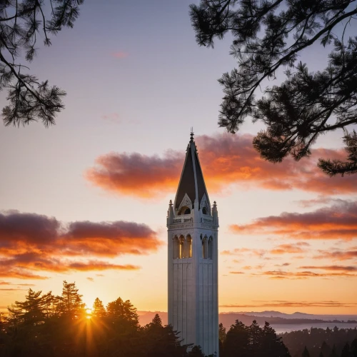 stanford university,carillon,oregon,easter sunrise,mt st,clock tower,temple fade,bell tower,mount st,the needle,collegiate basilica,northeastern,pc tower,holy cross,northern california,palo alto,golden hour,ung,spruce needle,steeple,Photography,Documentary Photography,Documentary Photography 04