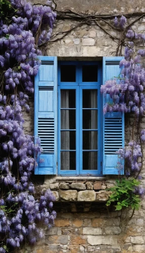 window with shutters,french windows,provence,shutters,sicily window,wooden shutters,wisteria shelf,aix-en-provence,wisteria,provencal life,giverny,dordogne,arles,window,window with grille,france,wooden windows,lattice window,windows,window front,Illustration,Black and White,Black and White 27