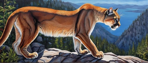 mountain lion,vulpes vulpes,saluki,argali,canis lupus tundrarum,guanaco,alpine ibex,chamois,lynx,canis lupus,geometrical cougar,cougar head,yamnuska,cougar,arête,great puma,loukaniko,mammal,coyote,antelope,Conceptual Art,Daily,Daily 34