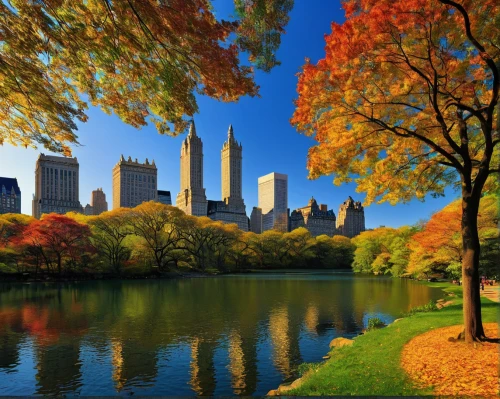 central park,newyork,autumn background,fall landscape,autumn landscape,autumn scenery,autumn in the park,new york skyline,new york,fall foliage,beautiful landscape,big apple,manhattan skyline,indian summer,manhattan,new york city,landscapes beautiful,landscape background,colors of autumn,autumn motive,Art,Classical Oil Painting,Classical Oil Painting 07