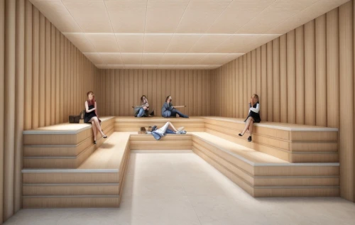 school design,archidaily,lecture hall,lecture room,board room,conference room,3d rendering,wooden construction,seating area,meeting room,school benches,modern office,dugout,hallway space,daylighting,plywood,sky space concept,wooden sauna,timber house,render,Common,Common,Natural