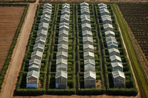 farms,rows,row of houses,stacked containers,hanging houses,farm yard,farmlands,solar farm,shipping containers,row of trees,cargo containers,human settlement,fruit fields,cube stilt houses,farmland,aerial photography,aggriculture,solar field,garden buildings,rows of planes,Illustration,Realistic Fantasy,Realistic Fantasy 17