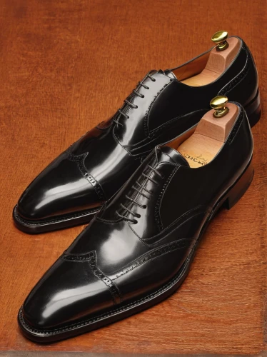 dress shoe,dress shoes,formal shoes,oxford shoe,oxford retro shoe,achille's heel,brown leather shoes,leather shoe,cordwainer,court shoe,leather shoes,dancing shoes,men's shoes,vintage shoes,shoemaker,men shoes,mens shoes,cloth shoes,dancing shoe,wedding shoes,Illustration,Realistic Fantasy,Realistic Fantasy 16