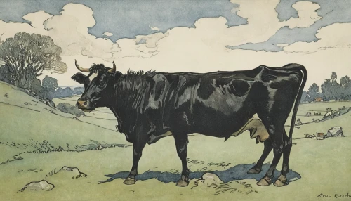 alpine cow,holstein cow,zebu,oxen,dairy cow,cow,holstein-beef,holstein,cows on pasture,mother cow,cow icon,holstein cattle,cow with calf,pasture,two cows,milk cow,bovine,dairy cows,moo,galloway cattle,Illustration,Retro,Retro 25