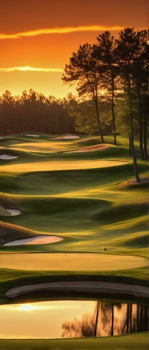 golf landscape,golf course background,spyglass,golf backlight,sunset over the golf course,the golf valley,golfcourse,sand trap,pebble beach,the golfcourse,the shoals course,golf resort,cape cod,golf course,grand national golf course,golf hole,the old course,sand wedge,dune ridge,devil's golf course,Illustration,Children,Children 03