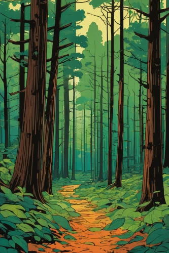 forest,forests,coniferous forest,cartoon forest,spruce forest,forest road,pine forest,the forests,the forest,forest landscape,old-growth forest,deciduous forest,forest path,autumn forest,forest floor,fir forest,green forest,forest background,mixed forest,forest walk,Illustration,Vector,Vector 03