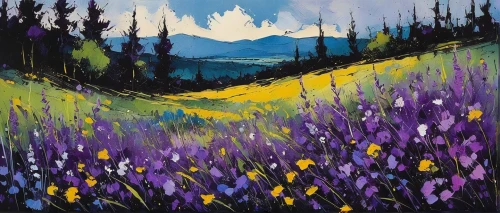 lupines,purple landscape,salt meadow landscape,mountain meadow,lavender field,lavender fields,alpine meadow,lupine,wildflowers,summer meadow,spring meadow,meadow in pastel,bluebells,alpine meadows,wildflower meadow,lavender flowers,meadow landscape,springtime background,lavenders,field of flowers,Illustration,Black and White,Black and White 12