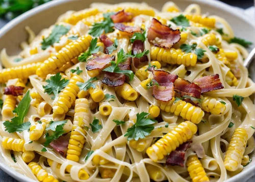 carbonara,pasta salad,pancetta,cavatappi,colorful pasta,spaguetti,spaghetti aglio e olio,rotini,italian pasta,pasta and beans,pasta,pasta pomodoro,seafood pasta,cheese noodles,corn salad,strozzapreti,spätzle,fusilli,amatriciana sauce,gremolata,Illustration,Paper based,Paper Based 10