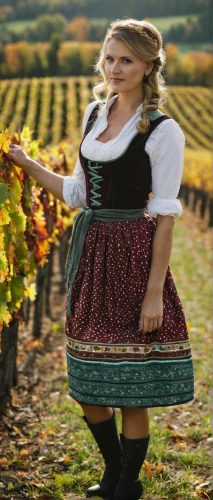 bavarian swabia,wine harvest,oktoberfest background,oktoberfest celebrations,oktoberfest,heidi country,viticulture,wine region,winemaker,wine cultures,apfelwein,bavarian,riesling,wine barrel,harvest festival,southern wine route,country dress,autumn chores,isabella grapes,grape harvest,Photography,Documentary Photography,Documentary Photography 04