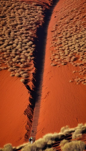 namib,namib desert,sossusvlei,red earth,dead vlei,namib rand,red sand,south australia,arid landscape,namibia,admer dune,libyan desert,shifting dune,uluru,arid,namibia nad,gobi desert,arid land,dune landscape,argentina desert,Photography,Artistic Photography,Artistic Photography 06