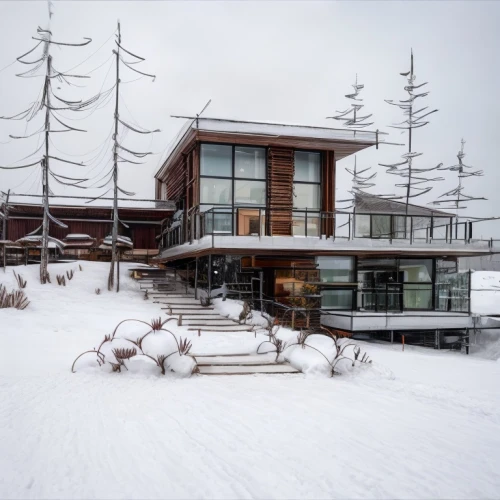 winter house,dunes house,the polar circle,snowhotel,stilt house,snow house,houseboat,timber house,snow roof,house by the water,house of the sea,scandinavian style,arctic,boat house,eco hotel,wooden house,cube stilt houses,floating huts,north pole,finnish lapland,Architecture,Villa Residence,Masterpiece,Catalan Minimalism