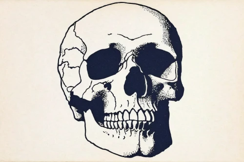 skull drawing,skull illustration,skull,death's-head,human skull,skulls,skull bones,skull allover,skull mask,death's head,skeletal,vintage skeleton,scull,calavera,skulls bones,skeleton,death head,skulls and,skull rowing,skull sculpture,Art,Artistic Painting,Artistic Painting 40