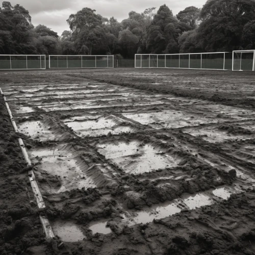 football pitch,furrows,soccer field,earthworks,the ground,clay soil,sowing,gable field,furrow,playing field,football field,artificial turf,athletic field,leek greenhouse,ground,rain field,old field clover,floodlights,plough,baseball diamond,Photography,General,Natural