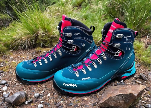 hiking shoes,climbing shoe,mountain boots,hiking boots,hiking boot,hiking shoe,downhill ski boot,hiking equipment,crampons,sport climbing,climbing equipment,patagonia,ski boot,women's boots,leather hiking boots,outdoor shoe,women climber,walking boots,moon boots,tecoma stans,Art,Artistic Painting,Artistic Painting 31