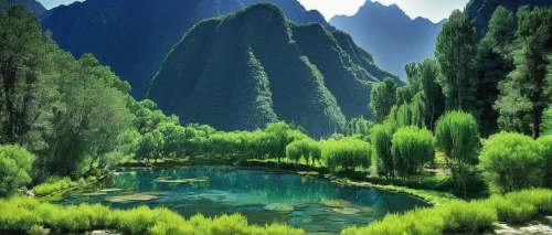 green landscape,green trees with water,guilin,river landscape,mountainous landscape,green forest,yunnan,xinjiang,landscape background,guizhou,zhangjiajie,mountain landscape,huangshan mountains,green waterfall,japanese mountains,huangshan maofeng,beautiful landscape,nature landscape,mountain spring,japan landscape,Illustration,Retro,Retro 03