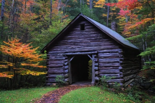 forest chapel,log cabin,vermont,the cabin in the mountains,log home,small cabin,wayside chapel,wood doghouse,cabin,new england,wooden hut,fairy door,garden shed,appalachian trail,the water shed,old barn,outhouse,shed,great smoky mountains,witch house,Photography,Documentary Photography,Documentary Photography 20