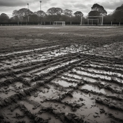 football pitch,soccer field,the ground,floodlights,ground,football field,artificial turf,playing field,floodlight,athletic field,furrows,rain field,old field clover,forest ground,swindon town,sports ground,stadion,gable field,ground frost,pitch,Photography,General,Natural