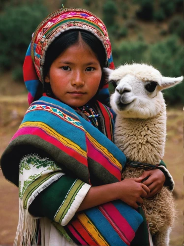 peruvian women,marvel of peru,nomadic children,pachamama,lama,peru i,nomadic people,titicaca,peru,goatherd,vicuña,camelid,cusco,incas,mexican blanket,collared inca,llama,cameroon sheep,baby yak,tibetan,Photography,Black and white photography,Black and White Photography 05