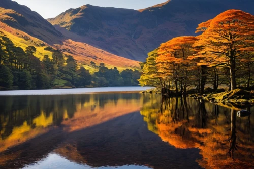 lake district,dove lake,larch trees,autumn mountains,loch,autumn colours,scotland,scottish highlands,autumn motive,autumn sunshine,autumn idyll,autumn light,glencoe,larch forests,autumn landscape,indian summer,lakes,reflections in water,beech trees,larch tree,Illustration,Black and White,Black and White 22