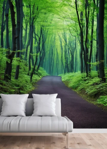 green forest,forest background,forest road,forest path,forest landscape,fairytale forest,landscape background,germany forest,tree lined path,3d background,fir forest,forest of dreams,coniferous forest,deciduous forest,intensely green hornbeam wallpaper,enchanted forest,forest glade,fairy forest,elven forest,cartoon video game background,Conceptual Art,Sci-Fi,Sci-Fi 10