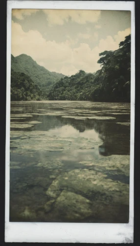 lubitel 2,lake tanuki,agfa isolette,river landscape,chiapas,japan landscape,ambrotype,pond,philippines scenery,wet lake,cabaneros national park,a river,retro frame,laguna verde,estuarine,mangroves,tarn,waterscape,aura river,wetland,Photography,Documentary Photography,Documentary Photography 03