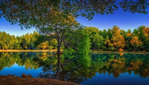 green trees with water,water mirror,background view nature,reflections in water,water reflection,evening lake,beautiful lake,mirror water,reflection in water,river landscape,row of trees,nature landscape,phoenix lake,park lake,green landscape,calm water,landscape nature,landscape background,beautiful landscape,danube delta,Illustration,Retro,Retro 02