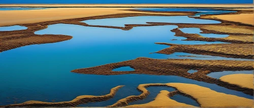 low tide,doñana national park,cape cod,braided river,south australia,tide pool,beach landscape,coastal landscape,estuary,reflection of the surface of the water,waterscape,fraser island,dune landscape,tidal marsh,orkney island,sand coast,beach erosion,estuarine,salt marsh,namibia,Art,Artistic Painting,Artistic Painting 36