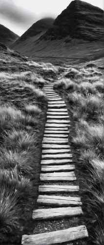 winding steps,pathway,wooden path,whernside,the path,footpath,wooden track,hiking path,the mystical path,moorland,path,gordon's steps,the way,scottish highlands,connemara,blackandwhitephotography,road to nowhere,glen of the downs,meander,isle of mull,Art,Classical Oil Painting,Classical Oil Painting 38