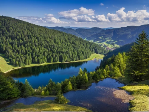 northern black forest,carpathians,starnberger lake,bavarian forest,berchtesgaden national park,seealpsee,styria,east tyrol,austria,south tyrol,pieniny,lake forggensee,beskids,alpsee,lake lucerne region,franconian switzerland,south-tirol,tatra mountains,temperate coniferous forest,wetterstein mountains,Conceptual Art,Daily,Daily 02