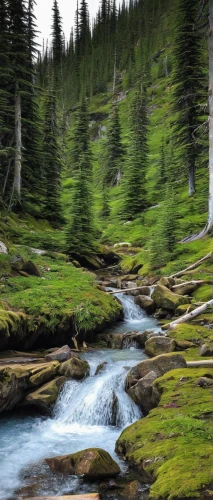 mountain stream,flowing creek,maligne river,flowing water,mountain spring,rushing water,mountain river,bow falls,salt meadow landscape,green trees with water,ilse falls,temperate coniferous forest,glacier national park,water flow,slowinski national park,water flowing,glacial melt,jasper national park,a small waterfall,background view nature,Art,Classical Oil Painting,Classical Oil Painting 07