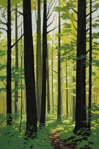northern hardwood forest,beech forest,deciduous forest,forest landscape,old-growth forest,spruce forest,beech trees,the forests,forests,forest background,pine forest,green forest,coniferous forest,forest,temperate coniferous forest,the forest,mixed forest,eastern hemlock,birch forest,chestnut forest,Illustration,Vector,Vector 04