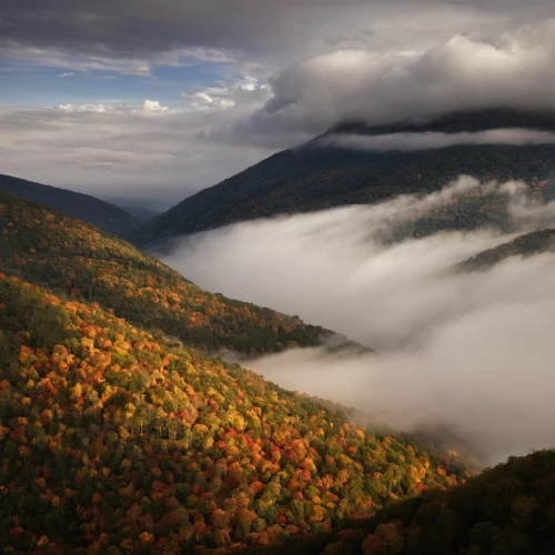 beech mountains,blue ridge mountains,great smoky mountains,foggy mountain,autumn mountains,autumn fog,mists over prismatic,fog banks,west virginia,shenandoah valley,foggy landscape,vermont,north american fog,appalachian trail,slowinski national park,white mountains,fall from the clouds,fall landscape,the landscape of the mountains,carpathians,Art,Artistic Painting,Artistic Painting 47