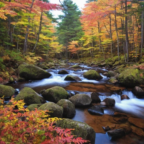 fall landscape,mountain stream,fall foliage,new england,flowing creek,vermont,autumn forest,maine,autumn landscape,northern hardwood forest,colors of autumn,autumn idyll,autumn scenery,deciduous forest,mountain river,the trees in the fall,forest landscape,massachusetts,upper michigan,temperate broadleaf and mixed forest,Illustration,Japanese style,Japanese Style 11