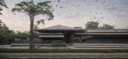 mayflies,mumuration,swarm of bees,locusts,net-winged insects,asian architecture,insect house,bee colony,bird migration,japanese architecture,chinese architecture,bird kingdom,sunflowers and locusts are together,flock of birds,bird bird kingdom,pigeon house,stingless bees,horse flies,birds love,suzhou,Architecture,Commercial Residential,Modern,Natural Sustainability