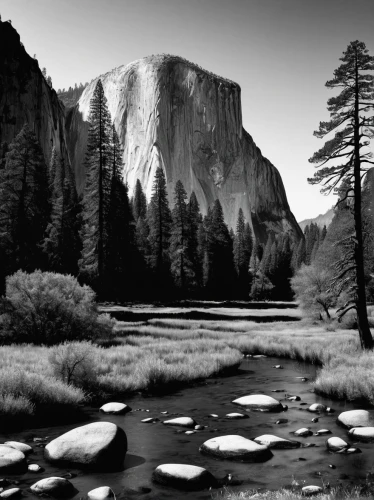 yosemite,yosemite park,salt meadow landscape,half dome,yosemite national park,half-dome,yosemite valley,mountain river,river landscape,monochrome photography,blackandwhitephotography,mountain stream,natural landscape,fallen giants valley,united states national park,landscape photography,nationalpark,salt meadows,nature landscape,ice landscape,Illustration,Black and White,Black and White 24