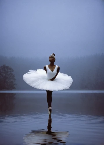 swan lake,white swan,ballet tutu,ballerina girl,ballerina in the woods,ballet dancer,black swan,swan,swan on the lake,ballet,little girl ballet,ballet master,little ballerina,young swan,ballerina,mourning swan,ballet pose,girl ballet,pirouette,gracefulness,Photography,Black and white photography,Black and White Photography 05