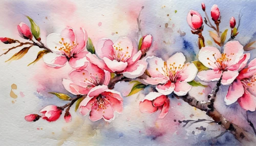 watercolour flowers,watercolor flowers,watercolor floral background,watercolor flower,watercolour flower,watercolor painting,apple blossoms,flower painting,watercolor background,watercolor,almond blossoms,watercolor paint,plum blossoms,peach blossom,apricot blossom,almond blossom,blossoming apple tree,watercolour,watercolor roses,apple blossom,Illustration,Paper based,Paper Based 24