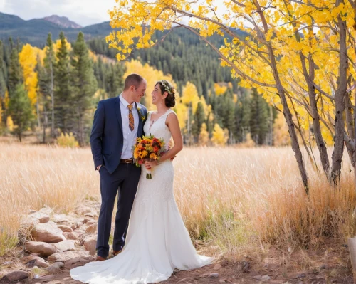 wedding photo,wedding photography,aspen,yellow grass,colorado,wedding couple,fall foliage,wedding photographer,wedding frame,bridal veil fall,bridal veil,newlyweds,golden weddings,mountain meadow hay,wedding flowers,swiftcurrent lake,sunflowers in vase,fall picture frame,beautiful couple,bride and groom,Art,Artistic Painting,Artistic Painting 40