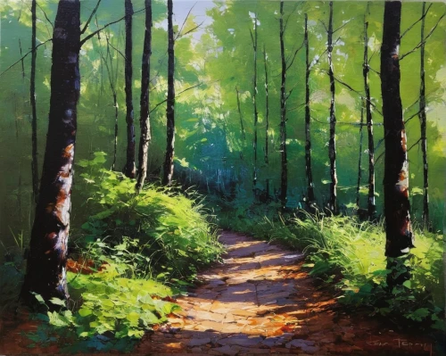 forest path,forest road,forest landscape,green forest,forest glade,pathway,forest walk,tree lined path,birch alley,hiking path,woodland,birch forest,forest background,mixed forest,the forest,forest,tree lined lane,the woods,forest ground,row of trees,Illustration,Paper based,Paper Based 05