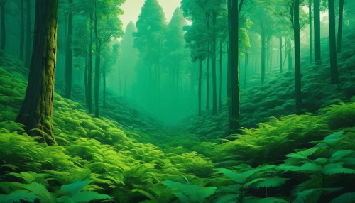 green forest,green wallpaper,foggy forest,forest,forests,coniferous forest,forest landscape,forest background,forest of dreams,the forest,forest floor,fir forest,the forests,green landscape,elven forest,bamboo forest,aaa,holy forest,forest glade,green trees,Conceptual Art,Sci-Fi,Sci-Fi 11