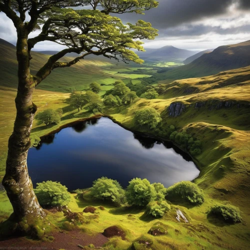 celtic tree,lake district,scottish highlands,lone tree,yorkshire dales,isolated tree,peak district,brook landscape,brecon beacons,landscapes beautiful,scotland,bare tree,northern ireland,natural landscape,trossachs national park - dunblane,nature landscape,ireland,wales,landscape background,isle of skye,Conceptual Art,Fantasy,Fantasy 30