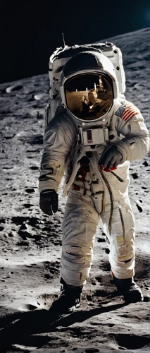 buzz aldrin,apollo 15,moon landing,apollo 11,moon vehicle,moon base alpha-1,apollo program,spacewalks,moon rover,robot in space,spacesuit,astronaut suit,space walk,astronautics,lunar surface,moon walk,nasa,space-suit,astronaut helmet,moon car,Photography,Documentary Photography,Documentary Photography 17