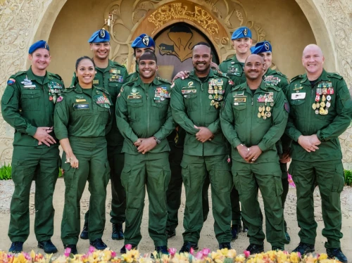 indian air force,dubai miracle garden,social,military organization,armed forces day,armed forces,the military,ashoka chakra,saudi arabia,strong military,aesulapian staff,officers,bishop's staff,gallantry,sikaran,golden medals,medals,airmen,world jamboree,memorial ribbons,Illustration,Retro,Retro 13